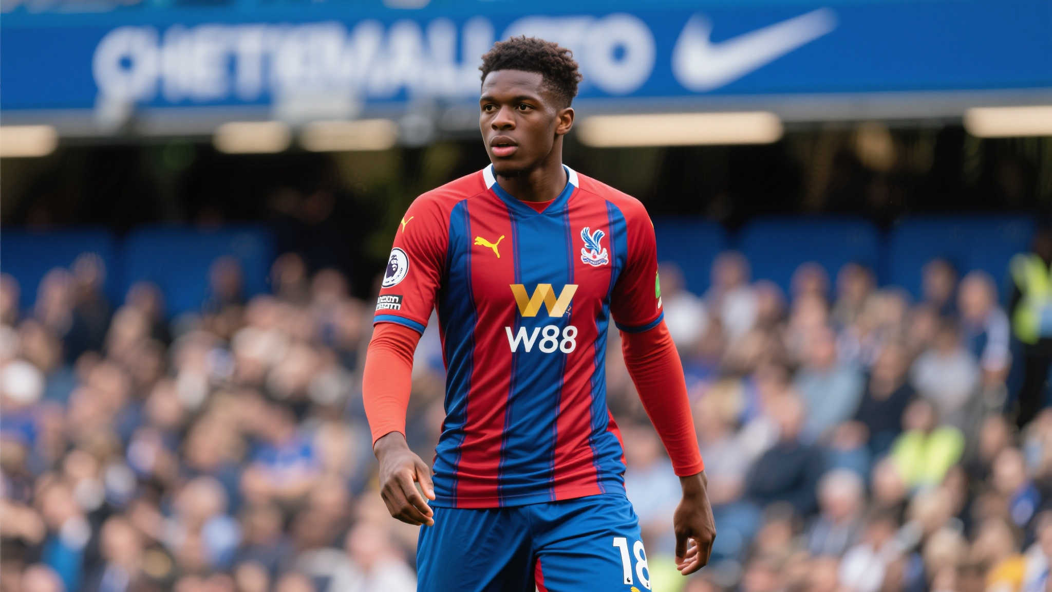 世界杯买球平台网页版入口